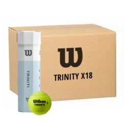 Carton 18 Tubes De 4 Balles Wilson Triniti